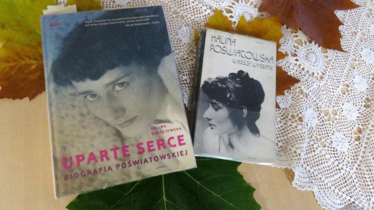 Po-wiatowska-6-.JPG