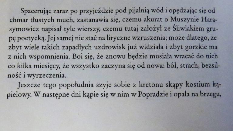 Po-wiatowska-9-.JPG